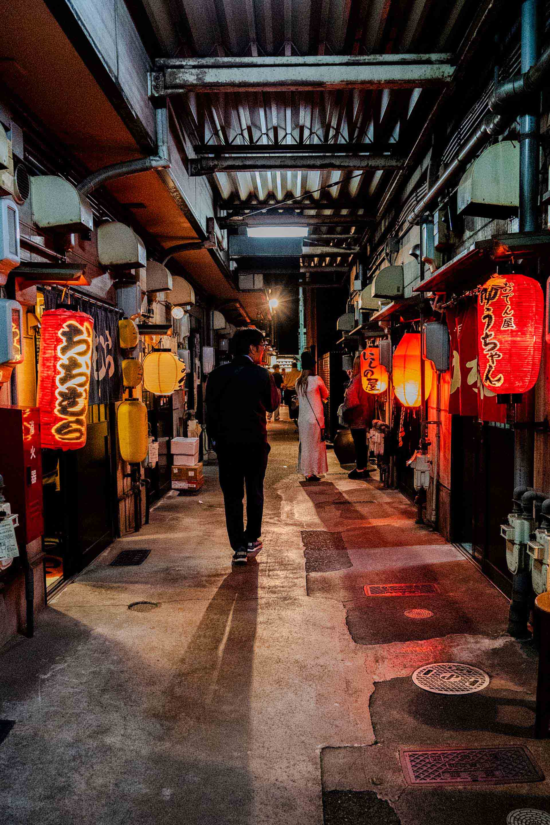 DxO PureRAW 6リリース｜DeepPRIME XD3が全カメラ対応、AIダスト除去とDNG圧縮で大量処理が変わる