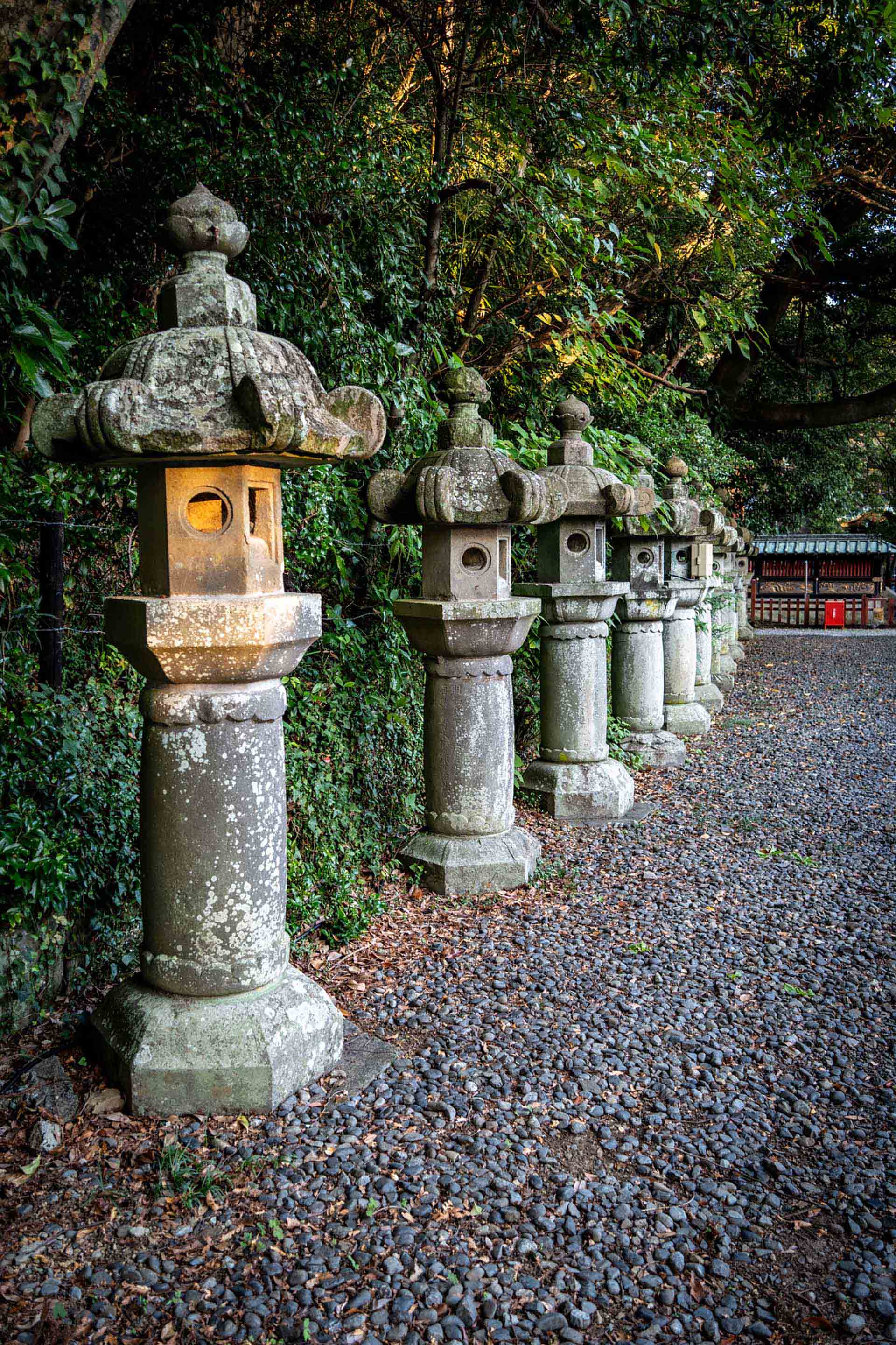 DNG圧縮によるファイルサイズ削減