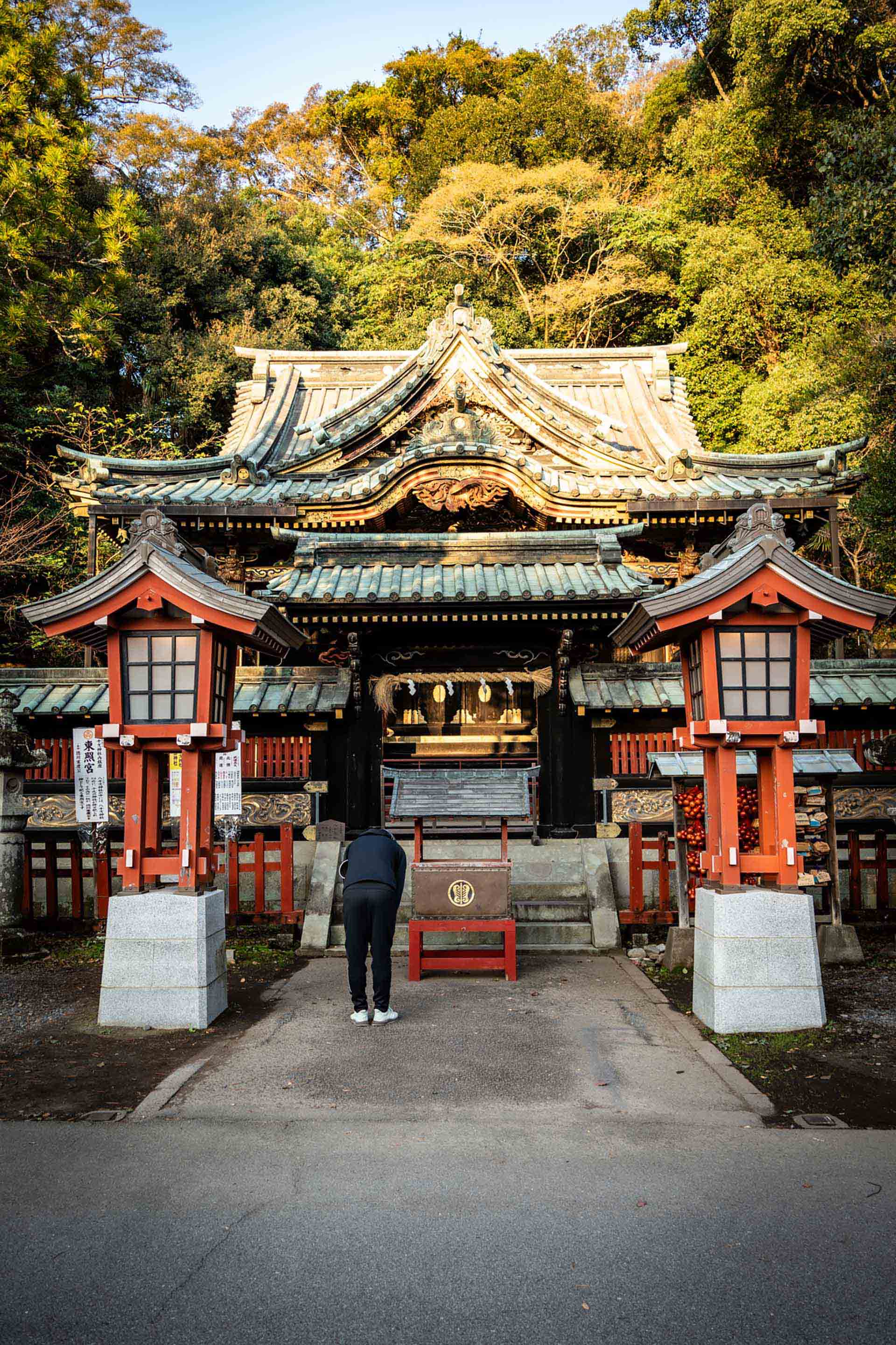 ノイズ除去ソフト比較