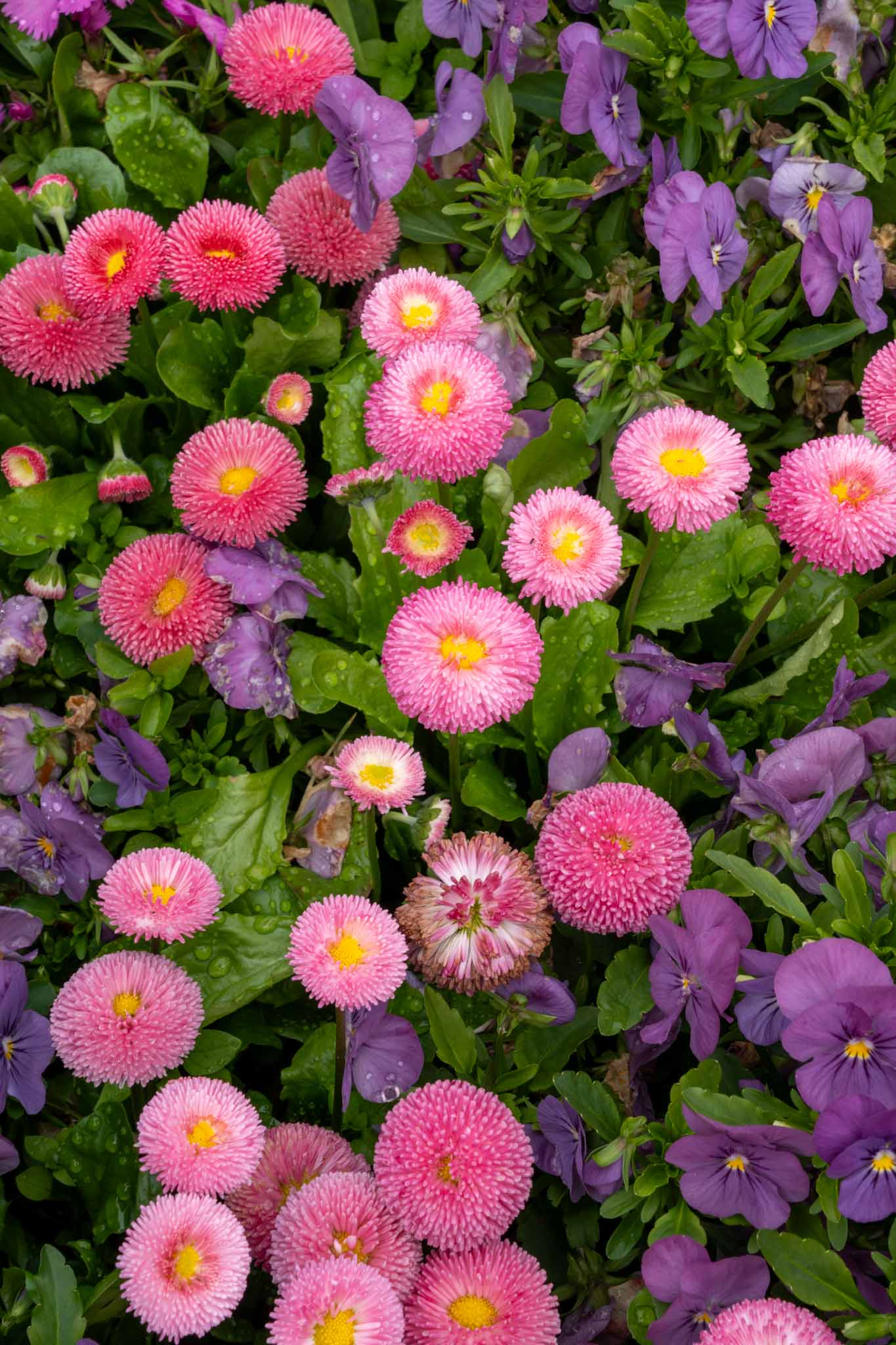 【2025年】レタッチソフトおすすめ10選｜AIで仕上がりが変わる最新ツールも紹介