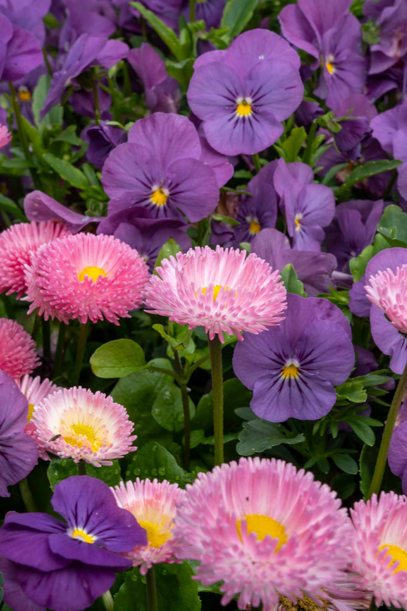 Capture One 16.7.4、フィルムネガ変換をベータ公開 — CP+2026で加速するフィルム写真ブームとプロのワークフロー