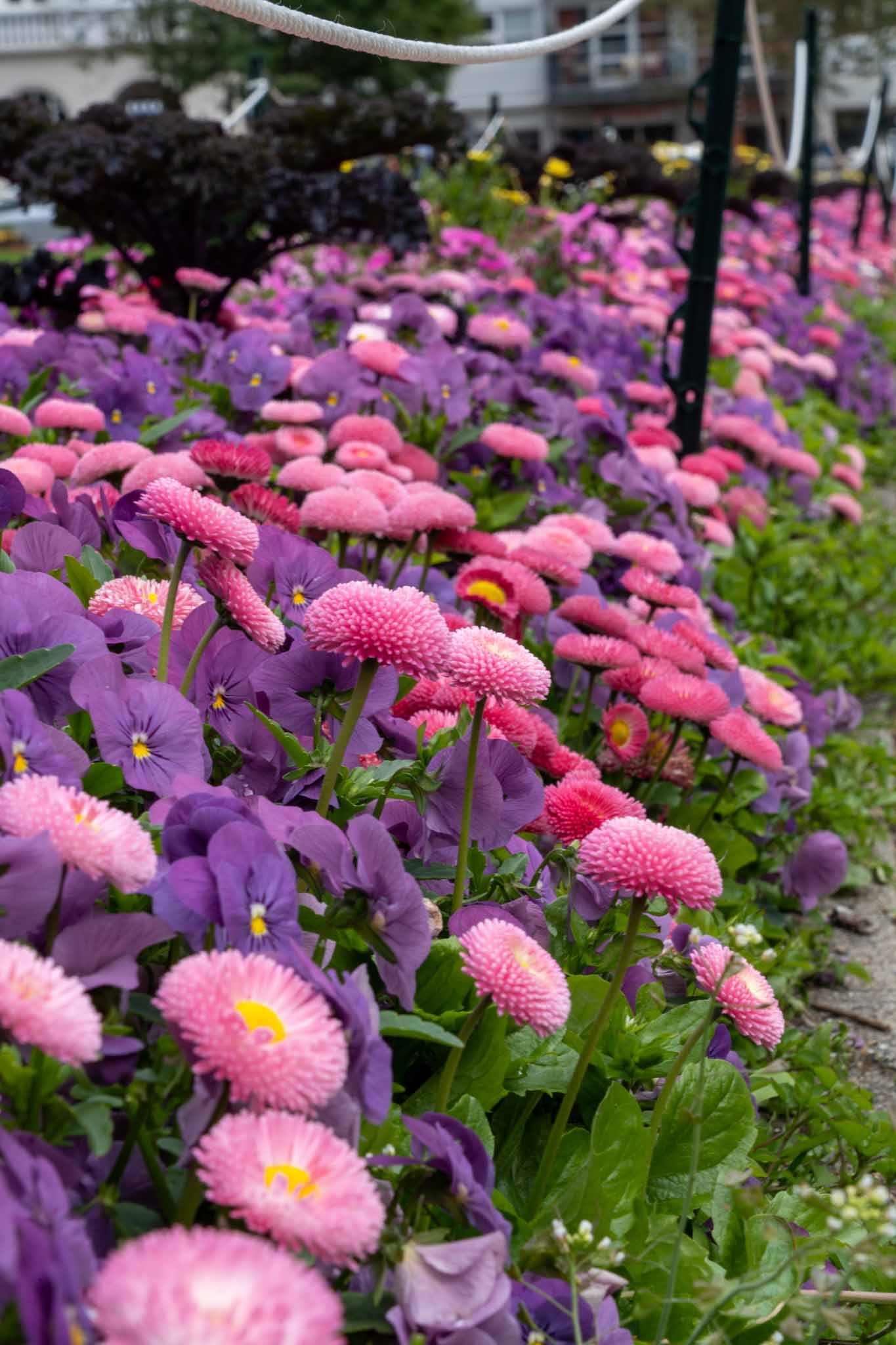 プロのレタッチワークフロー｜Lightroom→Photoshopの効率的な連携術