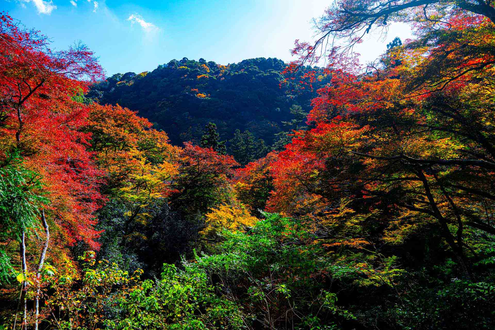 ワークフロー改善のイメージ