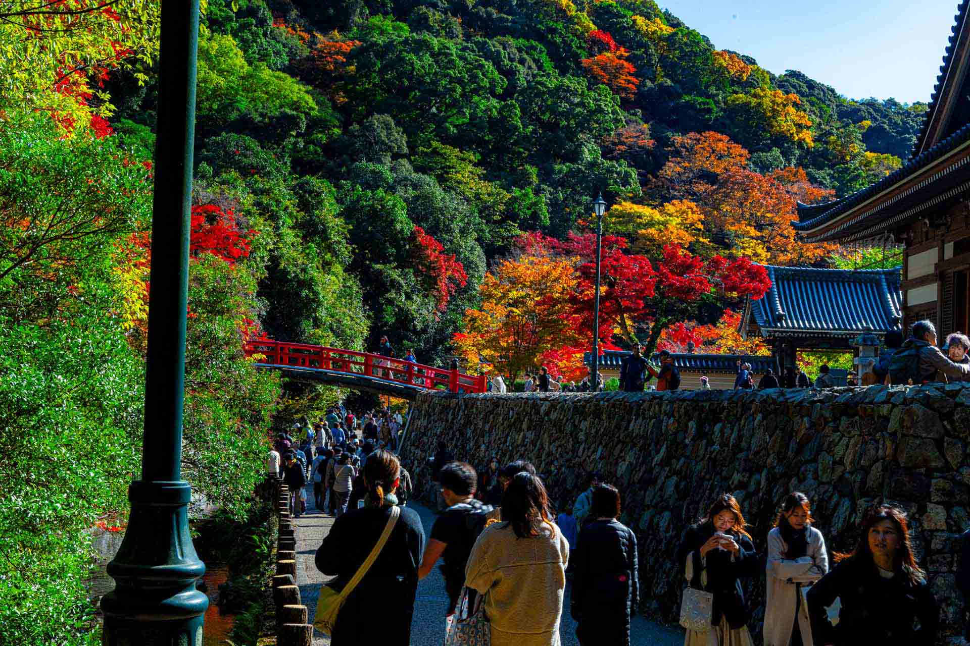 Affinity完全無料化＆3月アップデート｜Light UI・Live Tone Blend Groups等の新機能を解説