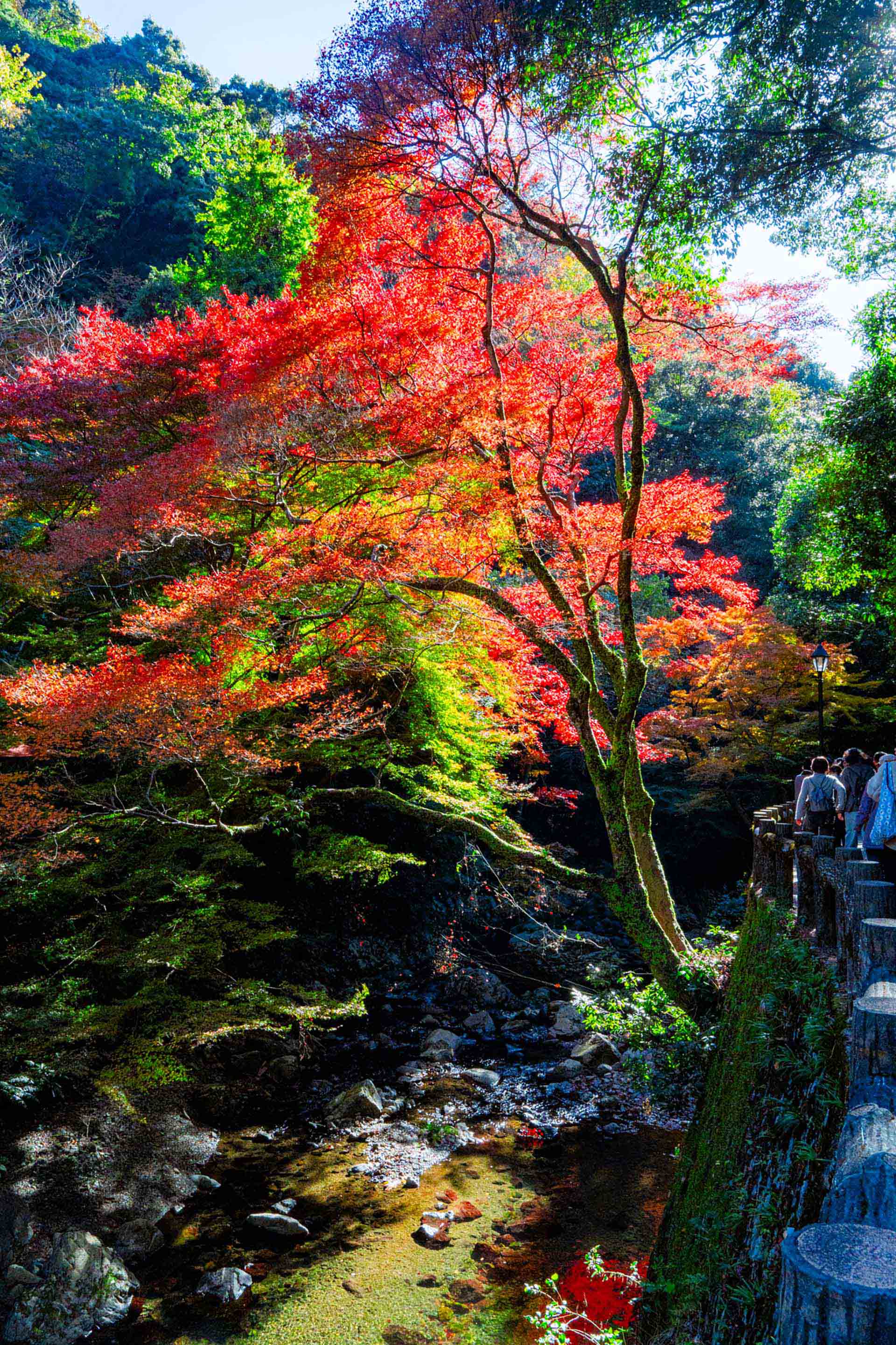 Adobe離れの選択肢としてAffinityの注目度が急上昇している