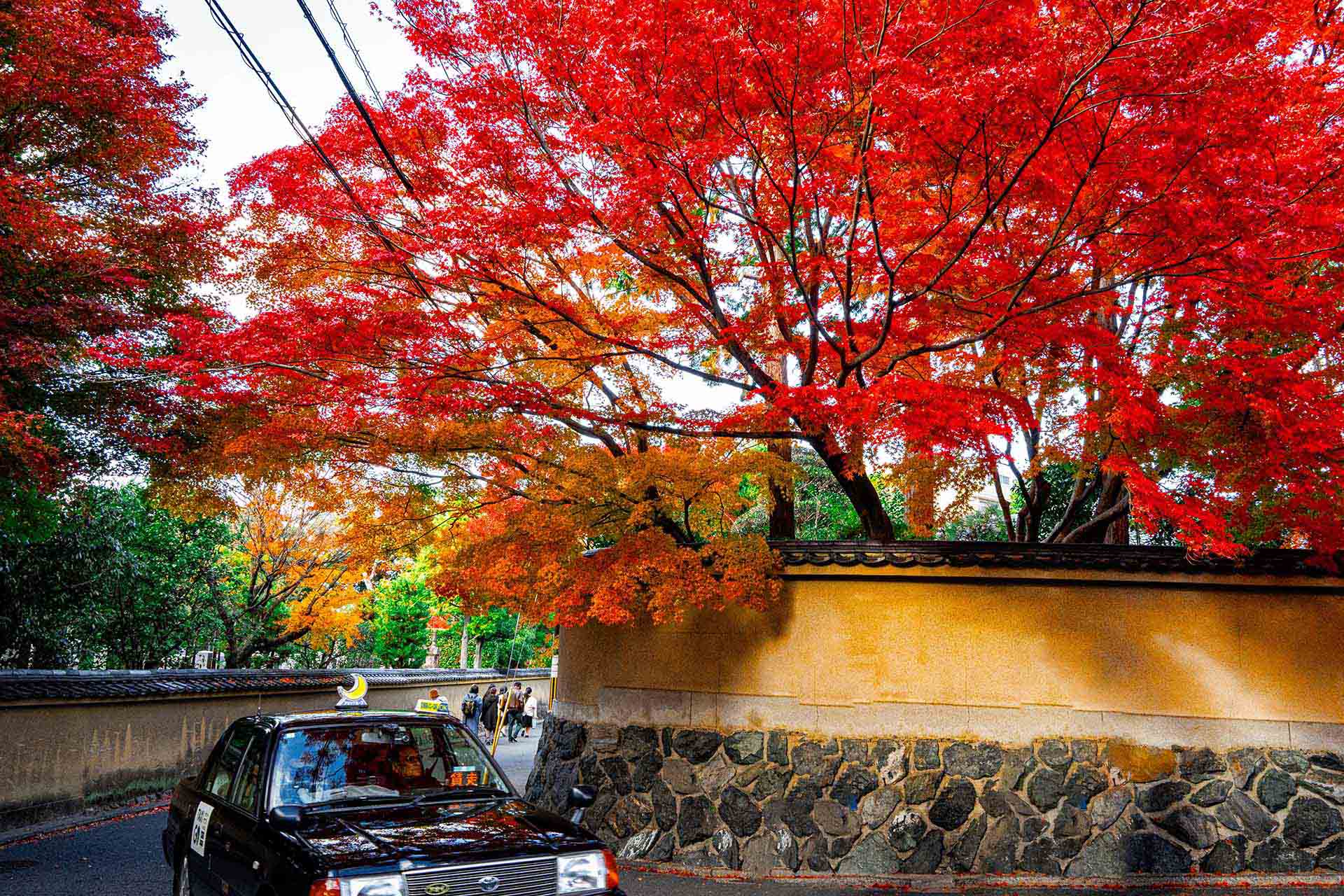 マスキング機能のイメージ