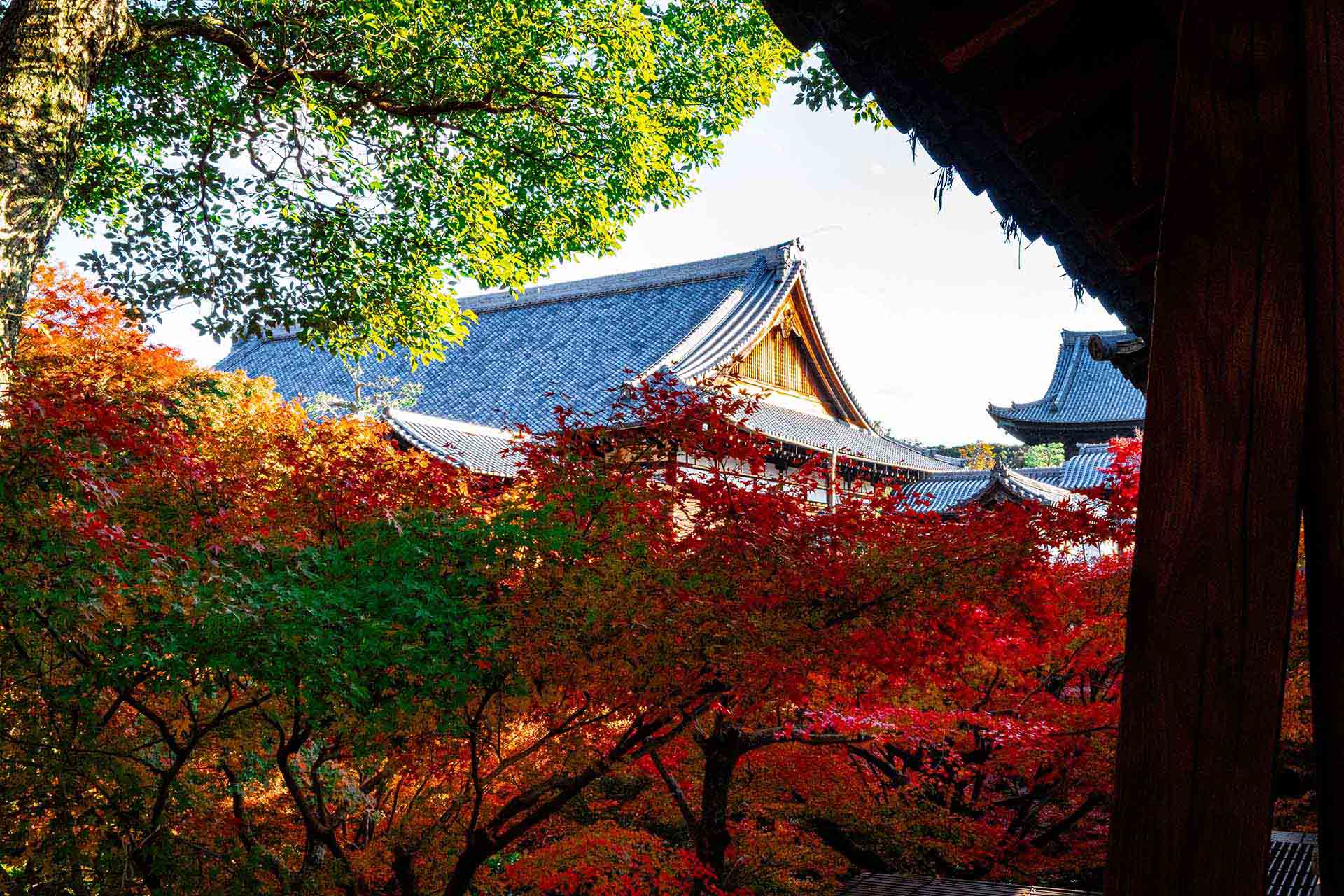 Photoshop 27.4アップデート｜Topaz GigapixelのAI超解像がPhotoshopに統合、最大56MPへのアップスケールが可能に